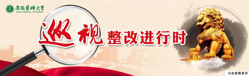 巡视整改